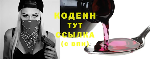 индика Пестово