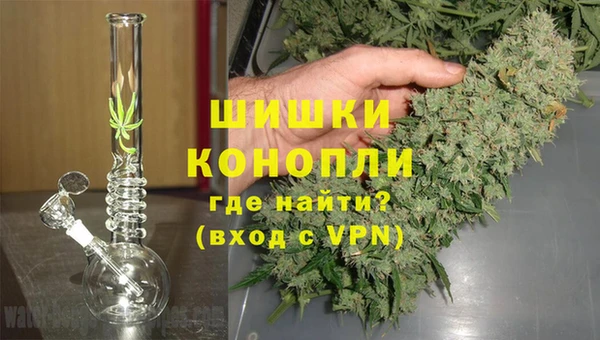 спайс Верея
