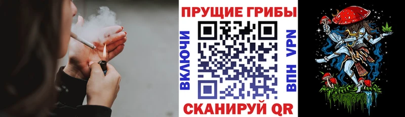 МЕГА ссылка Иланский Галлюциногенные грибы Psilocybine cubensis где найти наркотики